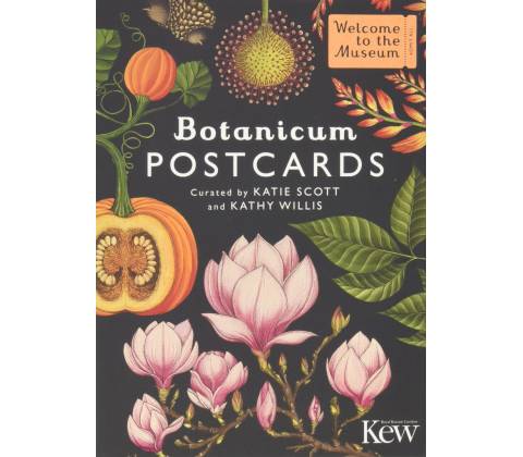 Botanicum Postcards Willis Kathy