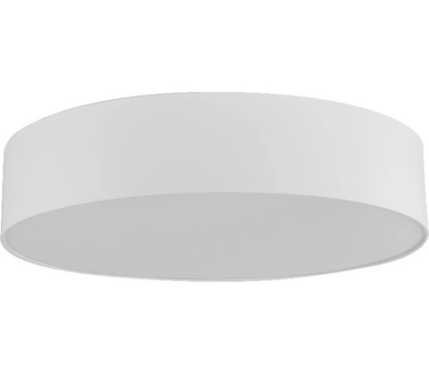 TK Lighting 2443