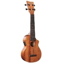 Ashton UKE 220EQ