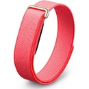 Google Fitbit Air