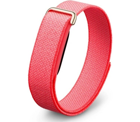 Google Fitbit Air