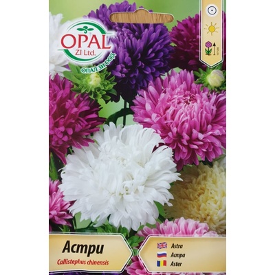 Opal Zi Астри Щраусово перо