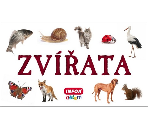 Zvířata