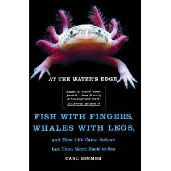 At the Water's Edge | Carl Zimmer