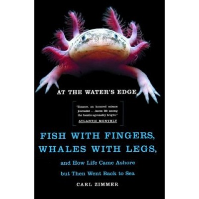 At the Water's Edge | Carl Zimmer
