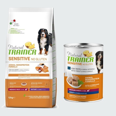Trainer Natural Sensitive No Gluten Adult Medium / Maxi Salmon 12 kg