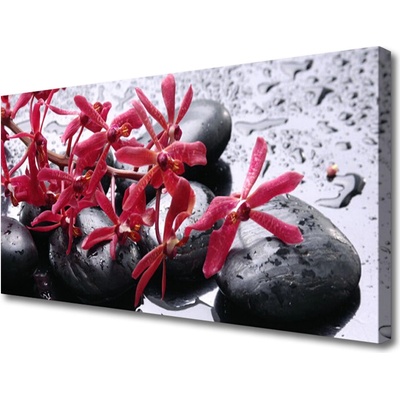 Obraz Canvas Kvet kamene umenie 100x50 cm