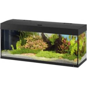 Ferplast Аквариум 240Л. DUBAI 120 AQUA BLACK Чeren (65038017)