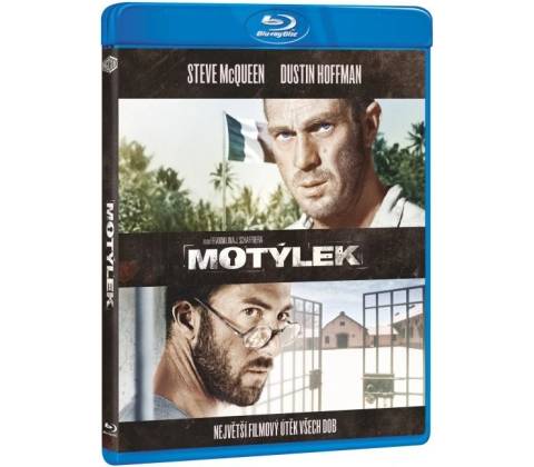Motýlek BD