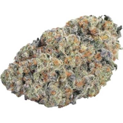 Growers Choice Double Donny Burger semena neobsahují THC 5 ks