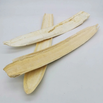 Přírodní sušený list BOAT vybělený – 40–60 cm (balení 12 ks)