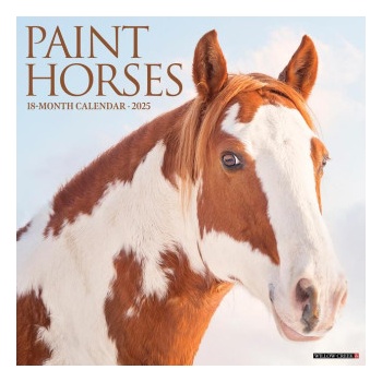 Willow Creek Press Calendars Paint Horses 2026 12 X 12 Wall Calendar | Willow Creek Press