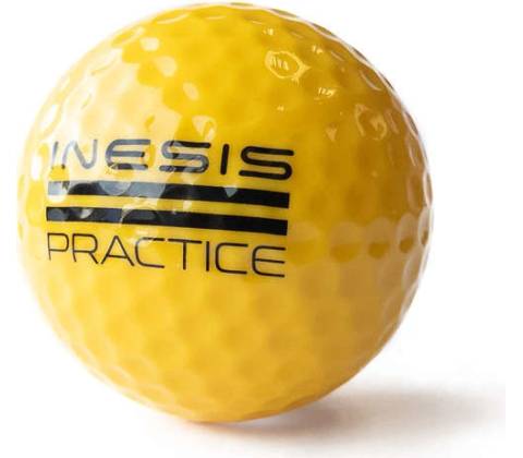 INESIS 300