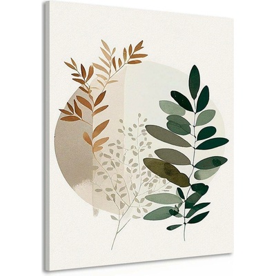 Obraz boho rostlinky - 40x60