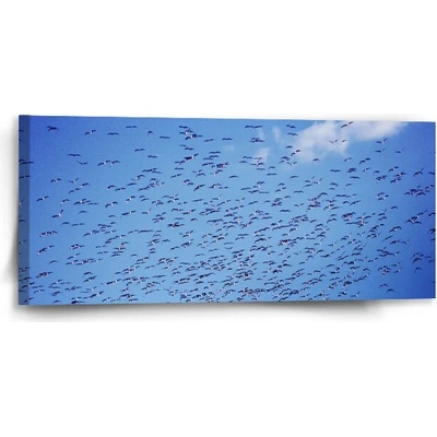 Sablio Obraz Kŕdeľ vtákov - 110x50 cm