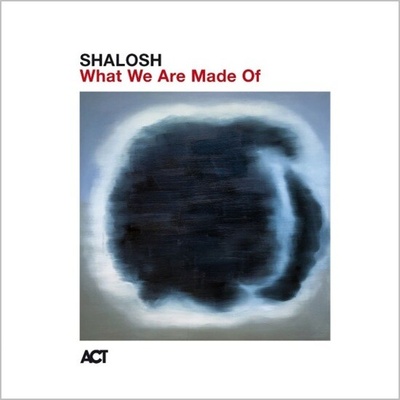 Shalosh - What We Are Made Of (180g) LP