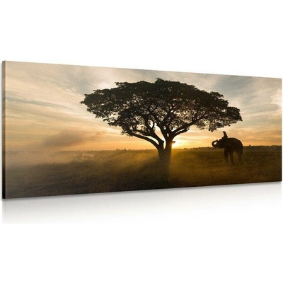Obraz slon při východu slunce - 140x70