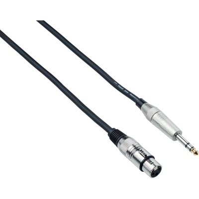 Bespeco XCMC450