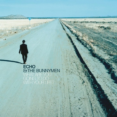 Echo & the Bunnymen - WHAT ARE YOU GOING TO DO WITH YOUR LIFE ? Vinyl