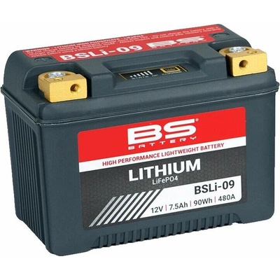 BS BATTERY BSLI-09