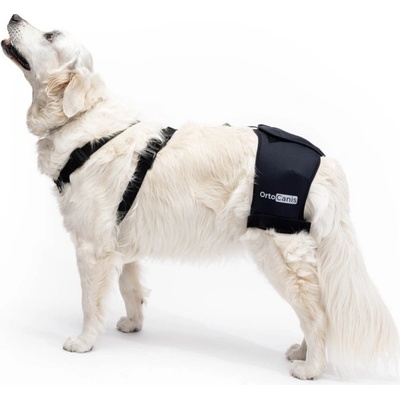 Ortocanis Stabilizátor bedrového kĺbu AJ pri dysplázii pre psa M