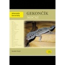 Gekončík noční - Abeceda teraristy - Forejt Jaroslav