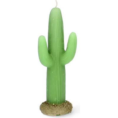 Pro-Tech shop kaktus 17,5 cm
