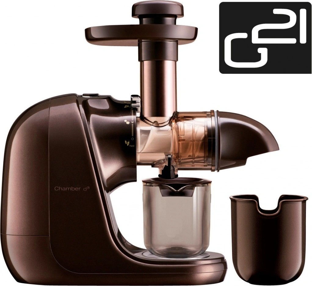 G21 Chamber