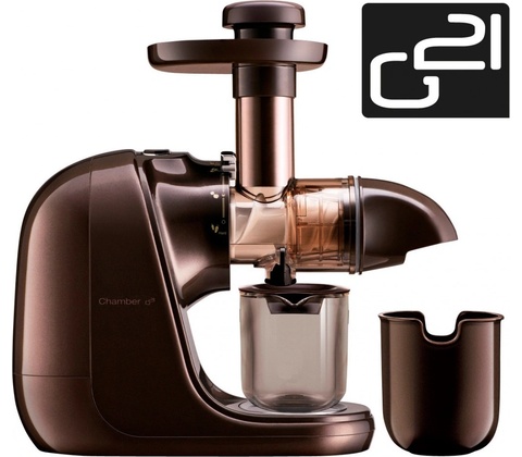 G21 Chamber