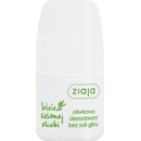 Ziaja Olivové listy dámský deodorant roll-on 60 ml