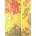 Peter Pauper Press Journal Fold-over Japanese Screen Journal | Inc Peter Pauper Press