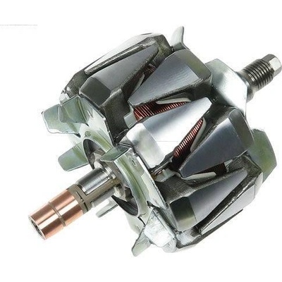 AS-PL Rotor alternátoru APL AR6029S