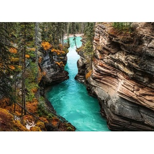 Ravensburger - Puzzle Canada Jigsaw Nationals: Athabasca Falls, Canada - 1 000 piese