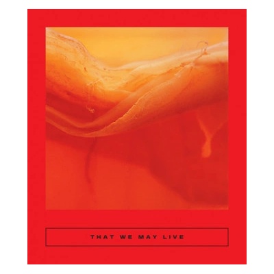 That We May Live: Speculative Chinese Fiction | Cj Evans, Sarah Coolidge, Ge Yan