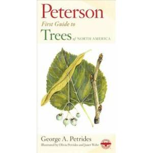 Peterson First Guide to Trees | Olivia Petrides, George A. Petrides (ISBN: 9780395911839)