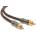 Focal ER 1 (ER1)