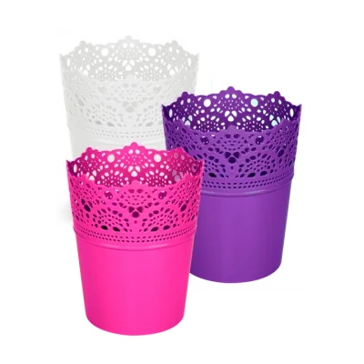 Serinova Саксия Дейзи средна (0133220)