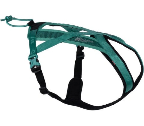 Non-stop dogwear postroj RUSH