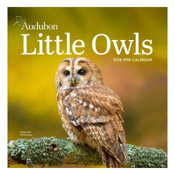 WORKMAN Cal 26 audubon little owls | mini wall