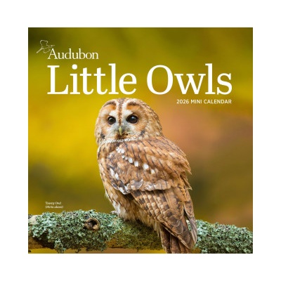 WORKMAN Cal 26 audubon little owls | mini wall