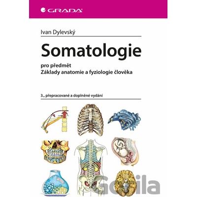 Somatologie - Ivan Dylevský
