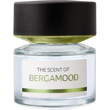 BMW Bergamood EDP 100 ml Tester
