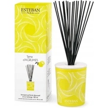 Esteban aroma difuzér Terre d'agrumes 100 ml