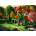 Enjoy - Puzzle Cottage in the Forrest - 1 000 piese