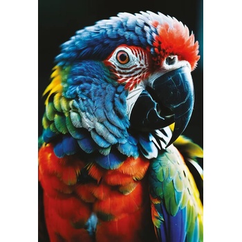 Interdruk - Puzzle Colourf. Nature: Parrot - 250 piese