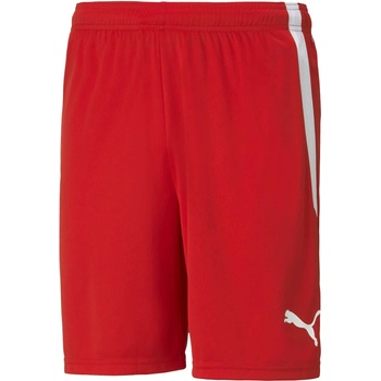 PUMA Team liga shorts m