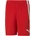 PUMA Team liga shorts m