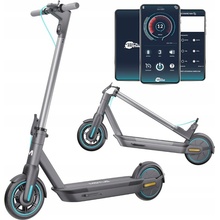 Motus Scooty 10 2022