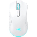 Baracuda Turtle-W BC (BGM-122W)