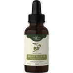 NANGA При настинка и грип - Хутиния, тинктура 50 ml (406415 NNG)